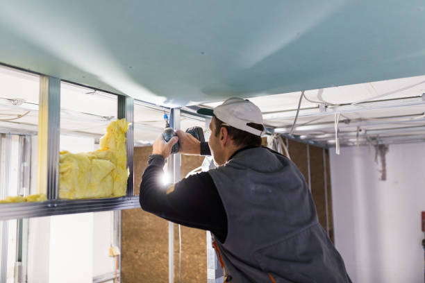 Best Insulation Maintenance and Repair in Newtown, PA